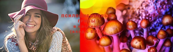 а пвп мука Гусев