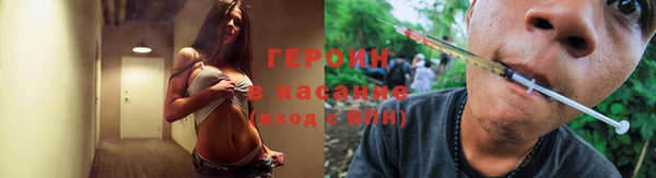 прущие грибы Фёдоровский