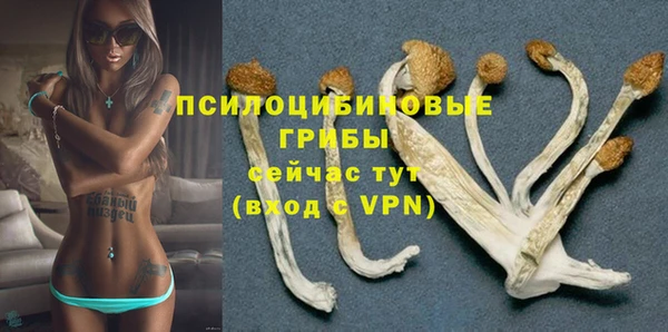 МДМА Гусиноозёрск