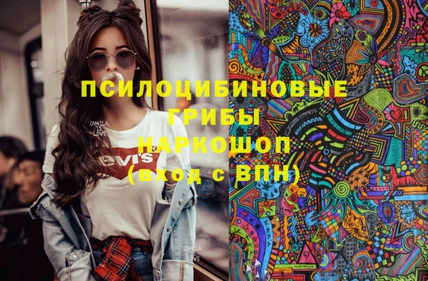 а пвп мука Гусев