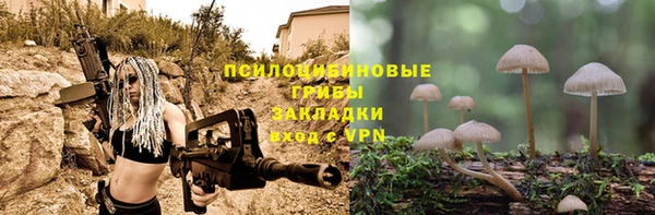 МДПВ Гусь-Хрустальный